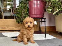 processed/468108b0-b5ce-4c2b-b609-98d2598c0f8a/listing/4952f528-55b0-4b1e-a980-e07d715a0441/8657f444-bc5d-412c-9d5e-f09dba1d088b