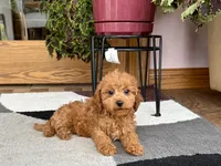 processed/468108b0-b5ce-4c2b-b609-98d2598c0f8a/listing/4952f528-55b0-4b1e-a980-e07d715a0441/cf231c9e-91a2-4125-b614-8a1ae93055e7