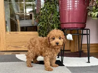 processed/468108b0-b5ce-4c2b-b609-98d2598c0f8a/listing/4952f528-55b0-4b1e-a980-e07d715a0441/f50916aa-91d7-4477-bb6f-d32df11f5ee2