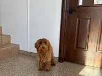 processed/468108b0-b5ce-4c2b-b609-98d2598c0f8a/listing/5de840a6-fd0d-4ca9-a2d8-15d58b1125ae/6efea05a-ae15-4ce9-8eca-098fc3b4057e