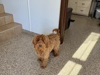 processed/468108b0-b5ce-4c2b-b609-98d2598c0f8a/listing/5de840a6-fd0d-4ca9-a2d8-15d58b1125ae/91332baf-3d98-4a2f-afe2-d466553a3205