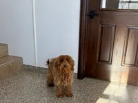 processed/468108b0-b5ce-4c2b-b609-98d2598c0f8a/listing/5de840a6-fd0d-4ca9-a2d8-15d58b1125ae/b7cf2d1a-eee6-4506-aadd-c11de878486b