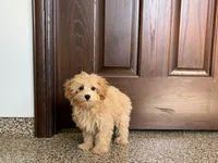 processed/468108b0-b5ce-4c2b-b609-98d2598c0f8a/listing/699e2b93-e93e-45ac-a2de-4db8db50143c/4bb3b174-6e94-4875-bc5e-9e7f5184cb69