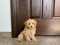 processed/468108b0-b5ce-4c2b-b609-98d2598c0f8a/listing/699e2b93-e93e-45ac-a2de-4db8db50143c/6212ff03-081e-41c9-a220-af89f7138ea5