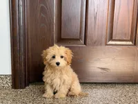 processed/468108b0-b5ce-4c2b-b609-98d2598c0f8a/listing/699e2b93-e93e-45ac-a2de-4db8db50143c/93ce91ab-34a2-4502-a1b0-1f3c25f23c90