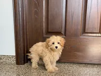 processed/468108b0-b5ce-4c2b-b609-98d2598c0f8a/listing/699e2b93-e93e-45ac-a2de-4db8db50143c/b2aad3b1-5243-45bb-bdd7-d781b0af8ea2