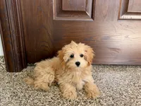 processed/468108b0-b5ce-4c2b-b609-98d2598c0f8a/listing/699e2b93-e93e-45ac-a2de-4db8db50143c/b850c369-2c04-45ca-bb7d-2e4875e0626f