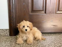 processed/468108b0-b5ce-4c2b-b609-98d2598c0f8a/listing/699e2b93-e93e-45ac-a2de-4db8db50143c/dd781bc8-359a-423b-a96a-71bb511e76df