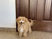 processed/468108b0-b5ce-4c2b-b609-98d2598c0f8a/listing/865ce174-17f8-402f-abe0-950b47fddc27/3ebcba64-a2a7-40f5-ac77-41d6cd4cec49