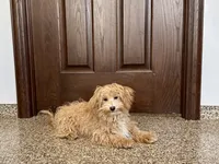 processed/468108b0-b5ce-4c2b-b609-98d2598c0f8a/listing/865ce174-17f8-402f-abe0-950b47fddc27/ba76b191-a54a-4f0e-973e-0f3a31b989c4