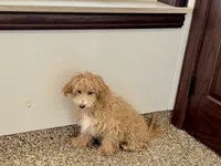 processed/468108b0-b5ce-4c2b-b609-98d2598c0f8a/listing/865ce174-17f8-402f-abe0-950b47fddc27/f9111ea4-8e97-49d6-b656-2abc262a91dd