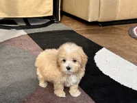 processed/468108b0-b5ce-4c2b-b609-98d2598c0f8a/listing/88fc06d7-925b-493f-b2d6-29705d3cb59e/041738cd-4af9-4c23-a7f7-a7f50ef37cb8