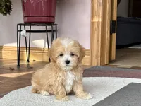 processed/468108b0-b5ce-4c2b-b609-98d2598c0f8a/listing/88fc06d7-925b-493f-b2d6-29705d3cb59e/22b3bc6f-fbc3-4ada-9495-8c88d3d1fe70