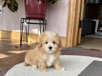 processed/468108b0-b5ce-4c2b-b609-98d2598c0f8a/listing/88fc06d7-925b-493f-b2d6-29705d3cb59e/631374b8-d9e1-4921-94e3-05d93af417e4