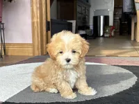 processed/468108b0-b5ce-4c2b-b609-98d2598c0f8a/listing/88fc06d7-925b-493f-b2d6-29705d3cb59e/6f6abee6-cdbc-428a-b91a-e9c07abdcf15