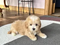 processed/468108b0-b5ce-4c2b-b609-98d2598c0f8a/listing/88fc06d7-925b-493f-b2d6-29705d3cb59e/713dee21-3561-4d35-8ecc-2ffe9f5c5e9e