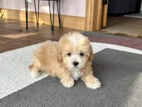 processed/468108b0-b5ce-4c2b-b609-98d2598c0f8a/listing/88fc06d7-925b-493f-b2d6-29705d3cb59e/93df2199-0552-4c48-b92a-13bea2216d3b