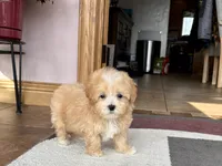 processed/468108b0-b5ce-4c2b-b609-98d2598c0f8a/listing/88fc06d7-925b-493f-b2d6-29705d3cb59e/a157dd3f-a3bc-4fb5-999d-78a44575c4c8