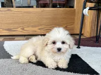 processed/468108b0-b5ce-4c2b-b609-98d2598c0f8a/listing/93e8e617-57d3-4bec-b695-b0a3175a1f05/01ea12c0-be6a-4f27-af56-8b1741a2d557