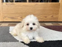 processed/468108b0-b5ce-4c2b-b609-98d2598c0f8a/listing/93e8e617-57d3-4bec-b695-b0a3175a1f05/71450439-af58-4c17-ae90-5c9d8df61df8