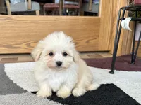 processed/468108b0-b5ce-4c2b-b609-98d2598c0f8a/listing/93e8e617-57d3-4bec-b695-b0a3175a1f05/b784c89f-c3d2-4c2e-a0fa-aa24f5688b36