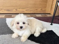 processed/468108b0-b5ce-4c2b-b609-98d2598c0f8a/listing/93e8e617-57d3-4bec-b695-b0a3175a1f05/cb7bfb10-a825-4587-adf9-c84b517e79b0