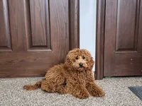 processed/468108b0-b5ce-4c2b-b609-98d2598c0f8a/listing/9a628112-985e-4796-a703-90a62de272cf/10b02e54-b4da-44da-938c-1229b5b5fd4f