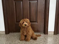 processed/468108b0-b5ce-4c2b-b609-98d2598c0f8a/listing/9a628112-985e-4796-a703-90a62de272cf/2a677632-911d-436d-9bec-4f9f7ffb8686