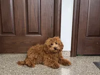 processed/468108b0-b5ce-4c2b-b609-98d2598c0f8a/listing/9a628112-985e-4796-a703-90a62de272cf/5642e8bc-bcdf-4720-83b2-e402e488b240