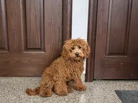 processed/468108b0-b5ce-4c2b-b609-98d2598c0f8a/listing/9a628112-985e-4796-a703-90a62de272cf/861c8427-7a7d-4068-b0b4-2c4070143bff