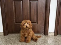 processed/468108b0-b5ce-4c2b-b609-98d2598c0f8a/listing/9a628112-985e-4796-a703-90a62de272cf/d88ae251-ee9c-4b89-a4f5-26f5c60d9a70