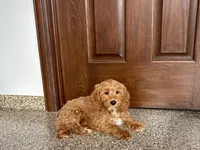 processed/468108b0-b5ce-4c2b-b609-98d2598c0f8a/listing/9f21b04e-748e-4f72-9515-e079e151a300/6927637f-eb74-4a42-be78-6b44ed95a92d