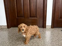 processed/468108b0-b5ce-4c2b-b609-98d2598c0f8a/listing/9f21b04e-748e-4f72-9515-e079e151a300/7e045af4-ef1b-4804-8dd2-92e2acfd8d95