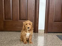 processed/468108b0-b5ce-4c2b-b609-98d2598c0f8a/listing/9f21b04e-748e-4f72-9515-e079e151a300/cc5bb33b-ab59-4e51-870a-72f86d1ee5eb