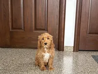 processed/468108b0-b5ce-4c2b-b609-98d2598c0f8a/listing/9f21b04e-748e-4f72-9515-e079e151a300/d03275e3-02b2-4605-abe4-37280a9655ad