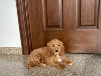 processed/468108b0-b5ce-4c2b-b609-98d2598c0f8a/listing/9f21b04e-748e-4f72-9515-e079e151a300/f6571e32-4664-4ce7-9d3b-4673786727f3