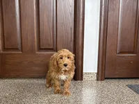 processed/468108b0-b5ce-4c2b-b609-98d2598c0f8a/listing/9f21b04e-748e-4f72-9515-e079e151a300/ff3eec78-3d70-4779-817b-c7c20f5f4ac7