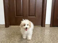 processed/468108b0-b5ce-4c2b-b609-98d2598c0f8a/listing/a142b4fe-6c37-439d-84c1-54ff4bc1e640/0e56d181-8f26-4109-af2d-883d7e303a59