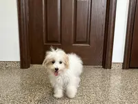 processed/468108b0-b5ce-4c2b-b609-98d2598c0f8a/listing/a142b4fe-6c37-439d-84c1-54ff4bc1e640/1c07e42b-356c-4a0f-ad96-b4a228c08f45