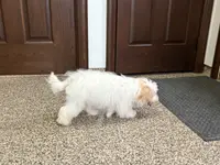 processed/468108b0-b5ce-4c2b-b609-98d2598c0f8a/listing/a142b4fe-6c37-439d-84c1-54ff4bc1e640/3e742d68-1162-4335-9226-faf3d9307bd6