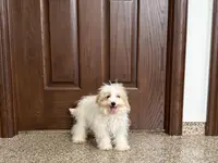 processed/468108b0-b5ce-4c2b-b609-98d2598c0f8a/listing/a142b4fe-6c37-439d-84c1-54ff4bc1e640/52315bf4-f940-47c0-8f09-deae7dfa6831