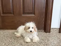 processed/468108b0-b5ce-4c2b-b609-98d2598c0f8a/listing/a142b4fe-6c37-439d-84c1-54ff4bc1e640/57ccad50-250c-468a-9e0d-7bdf99305f04