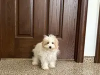 processed/468108b0-b5ce-4c2b-b609-98d2598c0f8a/listing/a142b4fe-6c37-439d-84c1-54ff4bc1e640/5bd24edd-acd7-4d93-bed9-12a32025b216