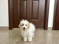 processed/468108b0-b5ce-4c2b-b609-98d2598c0f8a/listing/a142b4fe-6c37-439d-84c1-54ff4bc1e640/9f4c8796-7b44-4326-881a-58fdd3ecd8e2