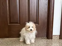 processed/468108b0-b5ce-4c2b-b609-98d2598c0f8a/listing/a142b4fe-6c37-439d-84c1-54ff4bc1e640/9f5c25a9-de34-420c-818d-3fb50dcdcaca