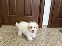 processed/468108b0-b5ce-4c2b-b609-98d2598c0f8a/listing/a142b4fe-6c37-439d-84c1-54ff4bc1e640/ddf6f2f1-5c0d-4177-b894-78ebc43fc355