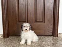 processed/468108b0-b5ce-4c2b-b609-98d2598c0f8a/listing/a3bac6bd-33d2-49e5-916f-576d8535290d/0abc64c1-c76d-44c1-864d-72697a86857e