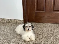 processed/468108b0-b5ce-4c2b-b609-98d2598c0f8a/listing/a3bac6bd-33d2-49e5-916f-576d8535290d/1936f178-b113-43c8-9b26-057d3eb065c4