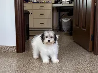 processed/468108b0-b5ce-4c2b-b609-98d2598c0f8a/listing/a3bac6bd-33d2-49e5-916f-576d8535290d/57f11ea1-359a-4343-b278-3589bbdf2ad3