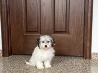 processed/468108b0-b5ce-4c2b-b609-98d2598c0f8a/listing/a3bac6bd-33d2-49e5-916f-576d8535290d/6fabd18e-9928-4104-a55c-43f70733098e